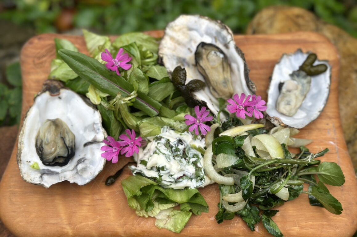 Austern von unsere Nordsee überm Feuer gegrillt.